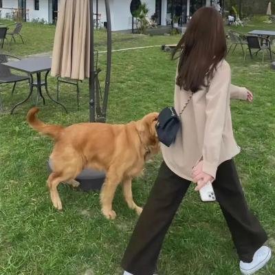 小李广花荣